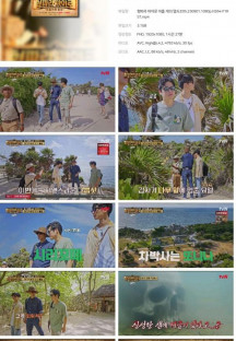 형따라 마야로 아홉 개의 열쇠.E05.230901.1080p.H264-F1RST.mp4