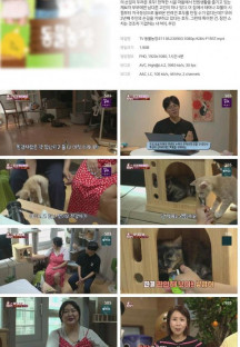 TV 동물농장.E1136.230903.1080p.H264-F1RST.mp4
