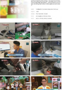 TV 동물농장.E1134.230820.1080p.H264-F1RST