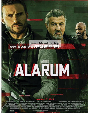 알라럼 Alarum.2025.1080p.10bit.WEBRip.6CH.x265.HEVC-PSA