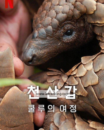 천산갑 쿨루의 여정 Pangolin Kulu's Journey, 2025.1080p.KORSUB.WEBRip.H264.AAC
