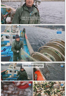 한국인의 밥상.E698.250329.1080p-F1RST