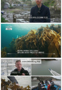 다큐 On.E300.250419.1080p-F1RST