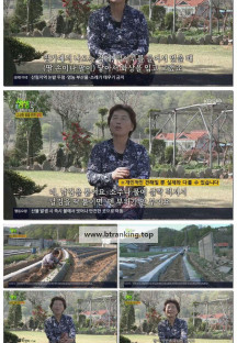 2TV 생생정보.E2280.250428.720p-F1RST