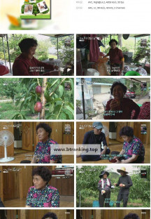 휴먼다큐 사노라면.E653.240908.1080p.H264-F1RST