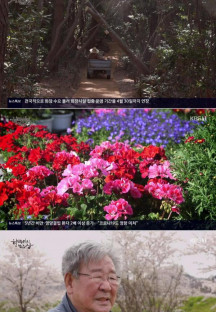 한국인의 밥상.E558.220421.720p-NEXT.mp4