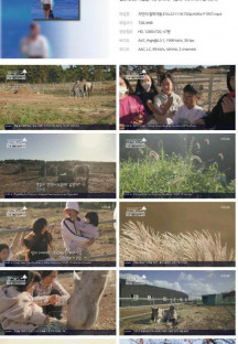 자연의 철학자들.E34.221118.720p.H264-F1RST.mp4