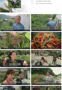 팔도밥상.E267.220702.1080p.H264-F1RST.mp4